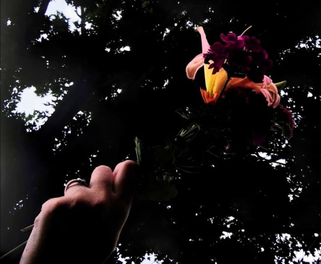 A handful of multicoloured flowers held up against a silhouette of tree branches.